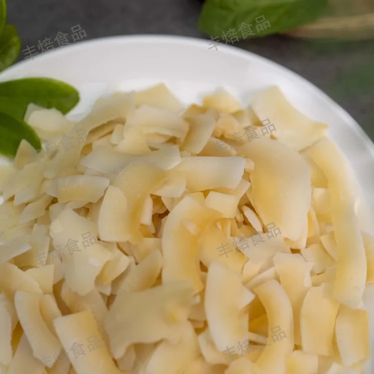 coconut chips coconut chips